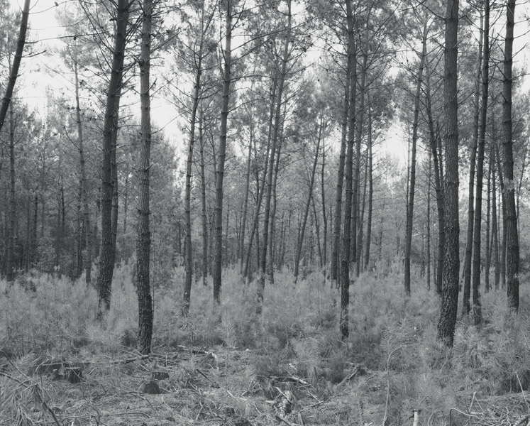 Gael Hugo, one more studio, http://www.onemore-studio.com