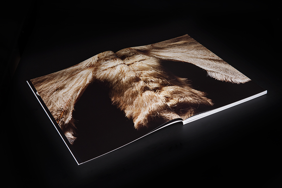 Gael Hugo, one more studio, http://www.onemore-studio.com